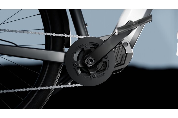 TENWAYS AGO X Elektrische Herenfiets M 10v 7