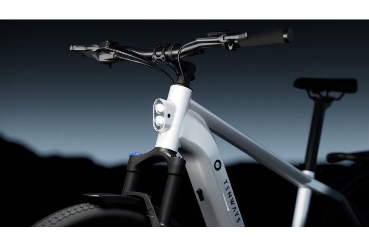 TENWAYS AGO X Elektrische Herenfiets M 10v 9