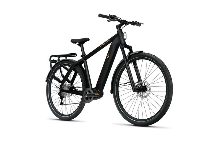 TENWAYS AGO X Elektrische Herenfiets M 10v 4