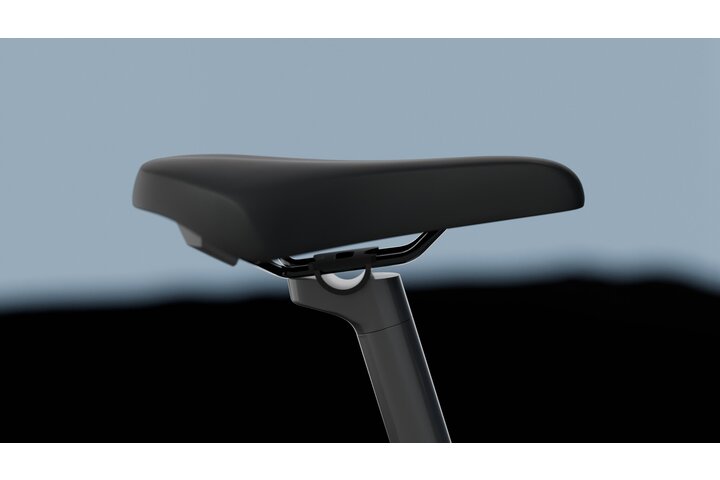 TENWAYS AGO X Elektrische Herenfiets XL 10v 11