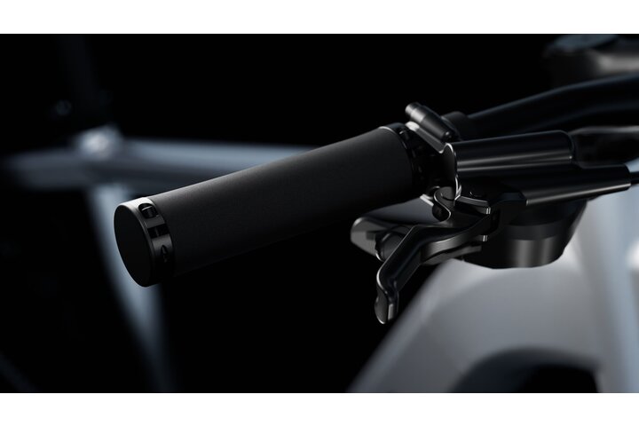 TENWAYS AGO X Elektrische Herenfiets XL 10v 13