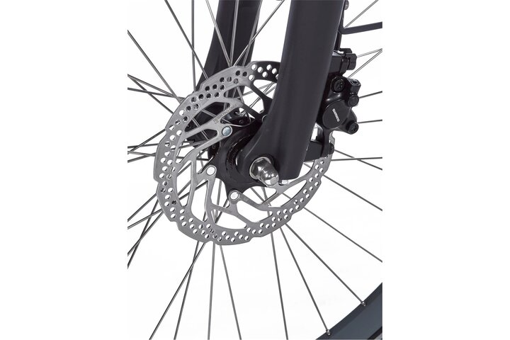 Cortina E-Nite VV Elektrische Damesfiets 28 inch 57cm 7v 13