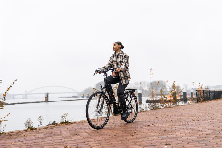 Altec Delta Plus Damesfiets 28 inch 50cm 3v 7