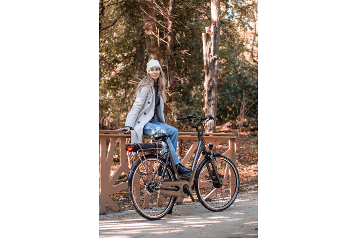 Altec Sirius E-Bike Dames 28 inch 53cm 7v 15