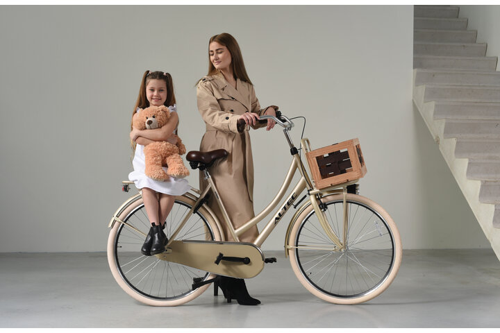 Altec Urban Transportfiets Dames 28 inch 50cm 8
