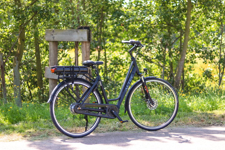 Altec Delta E-Bike Dames 28 inch 49cm Middenmotor 7v Rollerbrakes 4