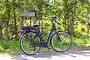 Altec Delta E-Bike Dames 28 inch 49cm Middenmotor 7v Rollerbrakes 4 klein