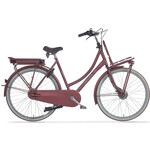 E-U4 Elektrische Transportfiets 28 inch 50cm RB7