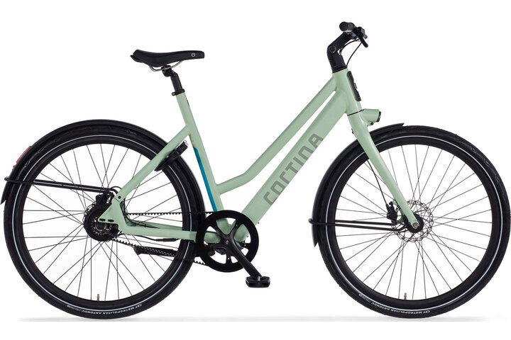 Cortina E-Lett 28 inch 57cm DB Belt 3