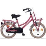 Alpina Cargo Kinderfiets Transport