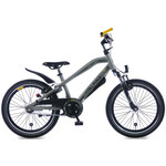 Alpina Trial Jongensfiets 20 inch