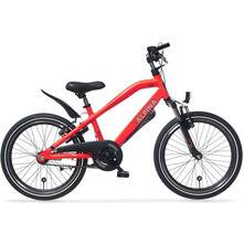 Alpina Alpina Trial Jongensfiets 22 inch
