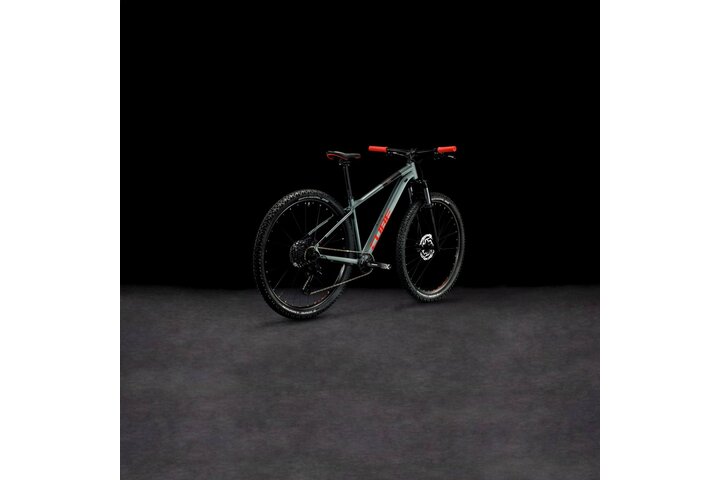 CUBE ANALOG 29 inch Mountainbike XXL (1.89m - 1.94m) 12v 16