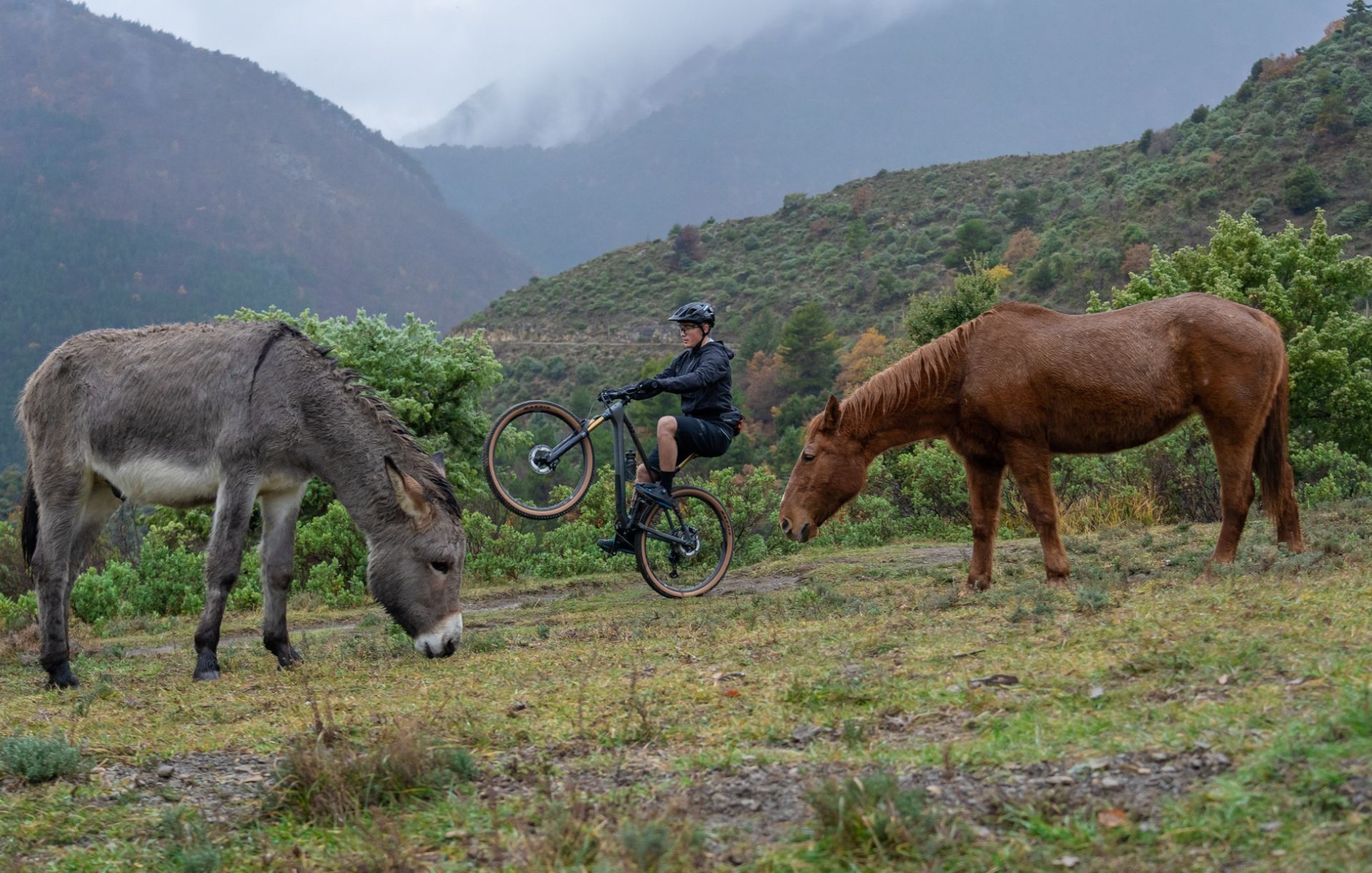 Cube Mountainbikes