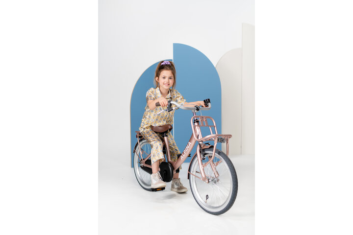 Alpina Clubb Kinderfiets Transport 24 inch 3v - afbeelding 3
