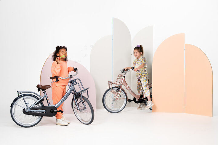 Alpina Clubb Kinderfiets Transport 24 inch 3v - afbeelding 4