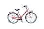 Alpina Clubb Kinderfiets Transport 26 inch R3 2 klein