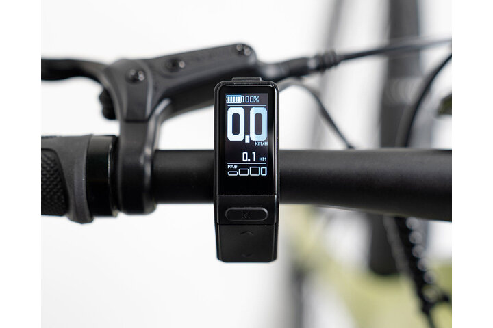 TENWAYS CGO600 PRO Elektrische Herenfiets L (1.80m - 1.95m) 12