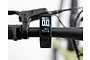 TENWAYS CGO600 PRO Elektrische Herenfiets L (1.80m - 1.95m) 12 klein
