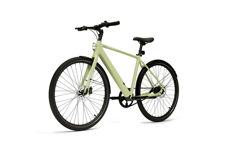 TENWAYS CGO600 PRO Elektrische Herenfiets L (1.80m - 1.95m) 5