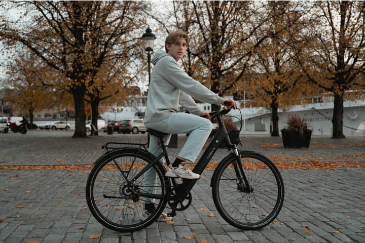 TENWAYS CGO800S Elektrische Damesfiets 48cm 19