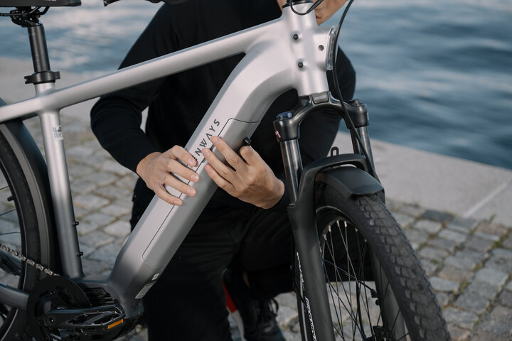 TENWAYS AGO X Elektrische Herenfiets L 10v 15