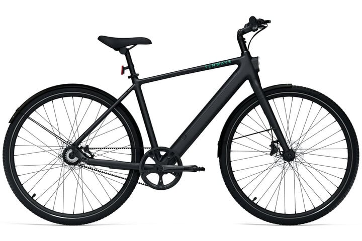 TENWAYS CGO600 PRO Elektrische Herenfiets L 54cm 1