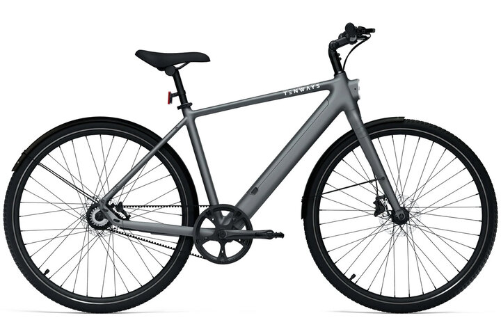 TENWAYS CGO600 PRO Elektrische Herenfiets L (1.80m - 1.95m) 2