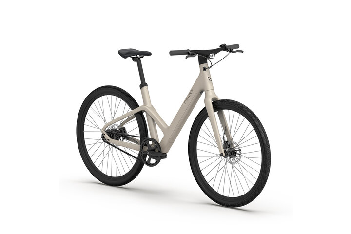 REANY Bike W1 Pro Elektrische Damesfiets Carbon Belt Drive 2