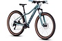 CUBE Access WS EXC 29 inch Mountainbike Eucalytus/Black M (1.71m - 1.76m) 16v 2 klein