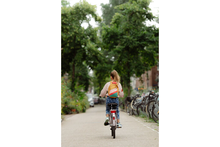 Cortina U4Mini Transportfiets 24 inch R3 12