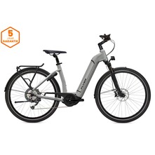 Flyer Flyer Gotour6 3.10 Elektrische Damesfiets 28 inch Cast Silver Gloss 9v