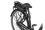 Altec Cosmos X E-Bike Dames 28 inch 53cm 7v 14 klein