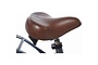 Alpina Clubb Kinderfiets Transport 20 inch 4 klein