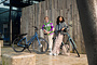 Cortina E-Tide Elektrische Damesfiets 28 inch 53cm Voorwielmotor DB7 18 klein