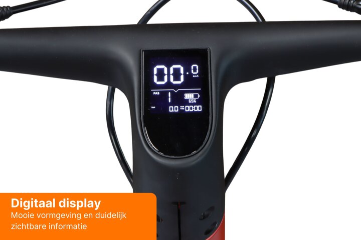 REANY Bike W1 Elektrische Damesfiets Belt Drive 11
