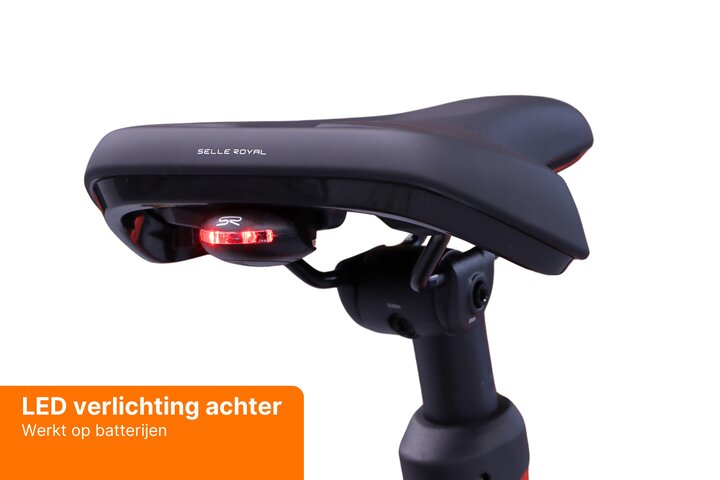 REANY Bike W1 Elektrische Damesfiets Belt Drive 13