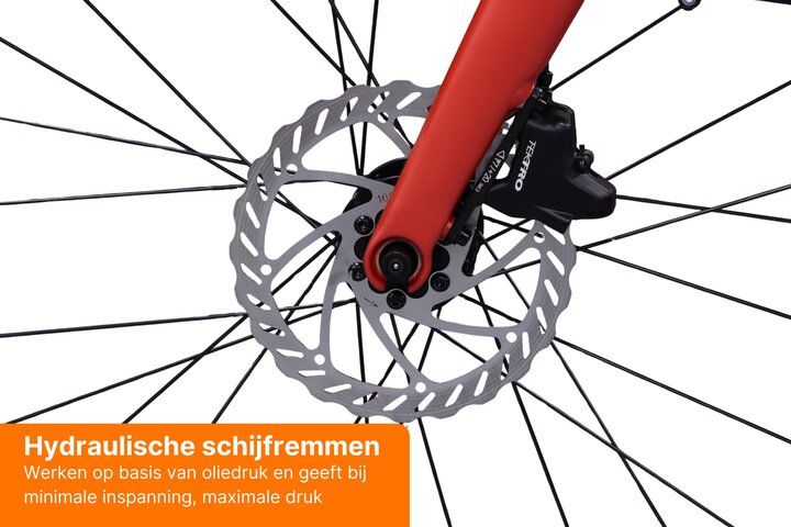 REANY Bike W1 Elektrische Damesfiets Belt Drive 18