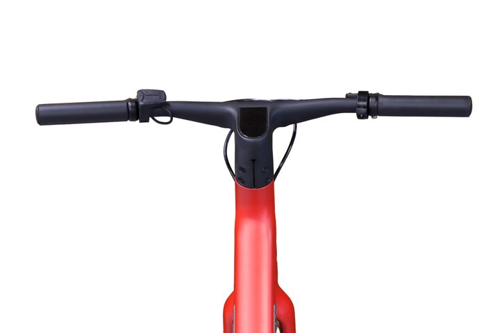 REANY Bike W1 Pro Elektrische Damesfiets Carbon Belt Drive 7