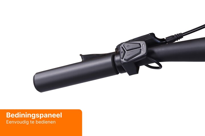 REANY Bike W1 Pro Elektrische Damesfiets Carbon Belt Drive 6