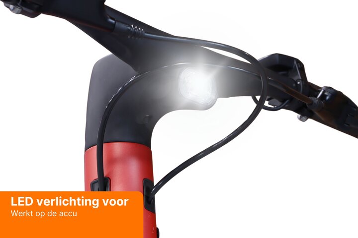 REANY Bike W1 Pro Elektrische Damesfiets Carbon Belt Drive 11