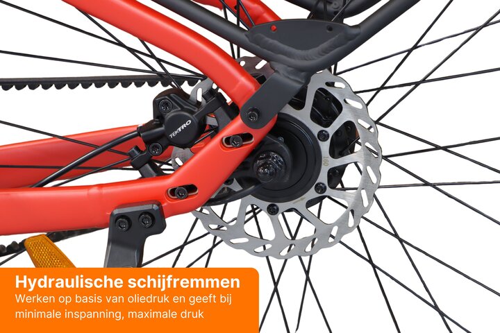 REANY Bike W1 Pro Elektrische Damesfiets Carbon Belt Drive 17