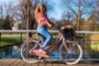 Altec Dutch Transportfiets Dames 28 inch 53cm 3v 8 klein