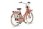 Altec Love Transportfiets Dames 28 inch 53cm 3v 6 klein