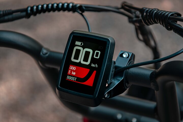 Knaap Fatbike DEV Edition 20 inch 7v 16