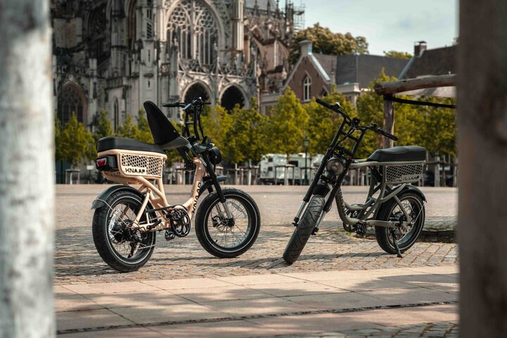 Knaap Fatbike DEV Edition 20 inch 7v 17