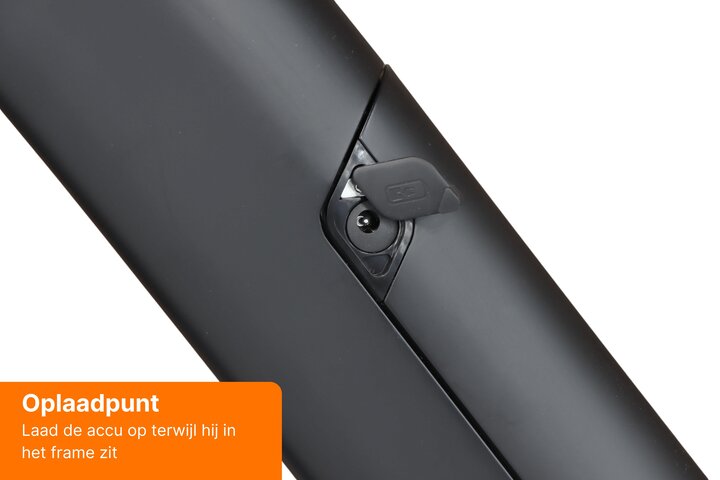 TENWAYS CGO009 Elektrische Herenfiets *Belt Drive, Smart Connect, GPS* 15