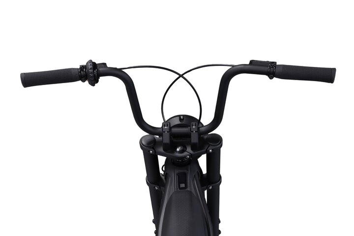 Brekr Model F250 22 inch Fatbike 12