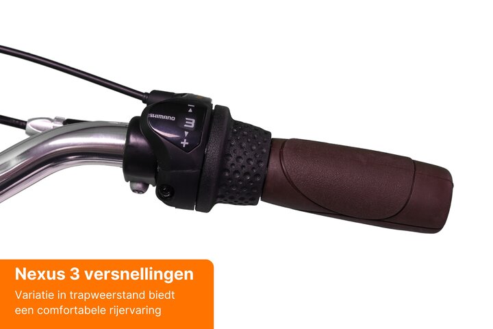 Altec Retro Transportfiets Dames 28 inch 57cm 3v 7