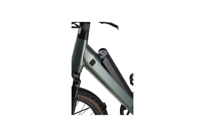 Beaufort Bandit Elektrische Damesfiets 3